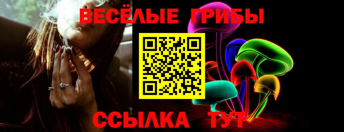 Губкинский  Галлюциногенные грибы Cubensis  Вход с VPN 
